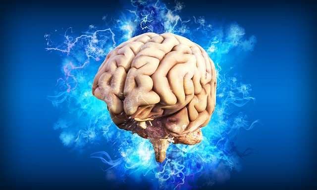El instinto de supervivencia: La trampa propulsora de las adicciones