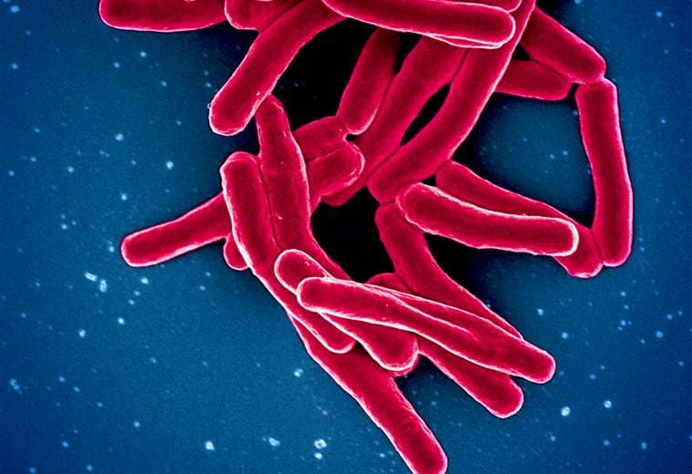 Súper bacterias resistentes a doce antibióticos: ¿quiénes corren mayor riesgo en Costa Rica?