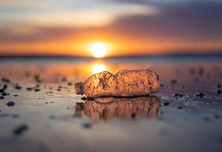 Foto Adobe Stock