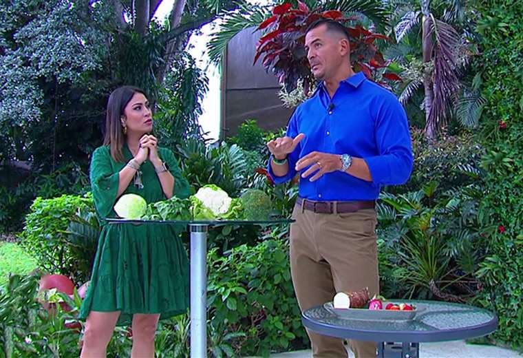 ¿Ha escuchado hablar de los alimentos bociógenos?