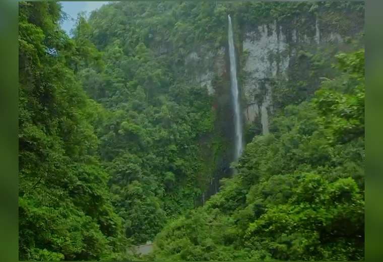 Terapia en medio del bosque y otras opciones atraen a miles de turistas a Costa Rica