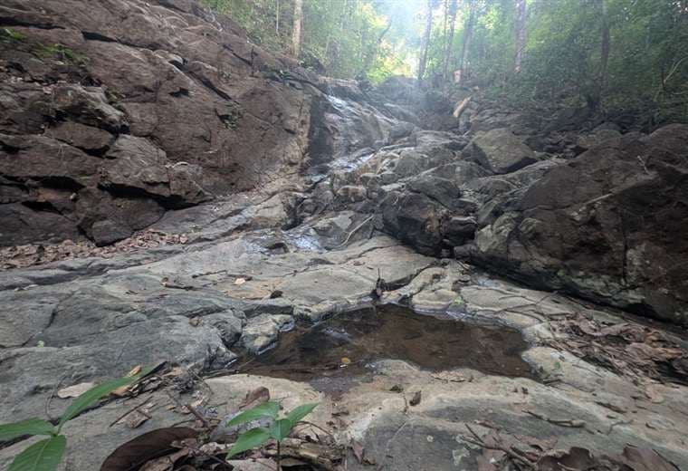 El Niño ya golpea Guanacaste: familias venden ganado y pierden cosechas por sequía