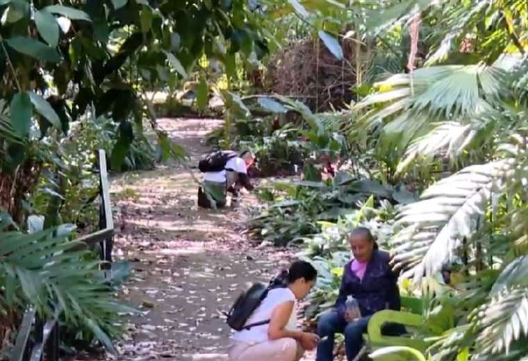 Parque Natural Urbano Simón Bolívar abrió sus puertas con caminatas guiadas