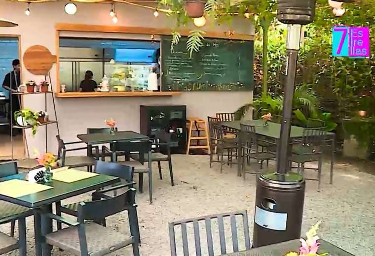 Vivero El Zamorano y Plantae: donde plantas y café crean un plan perfecto
