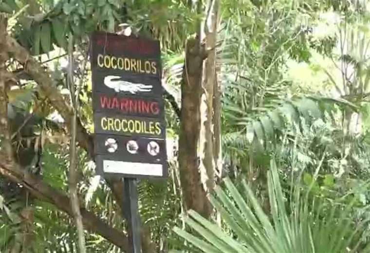 Colocan 55 rótulos para alertar sobre presencia de cocodrilos y caimanes en Costa Rica