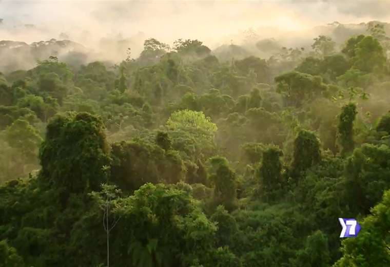 ¿Cuánto le aporta la economía verde a Costa Rica?