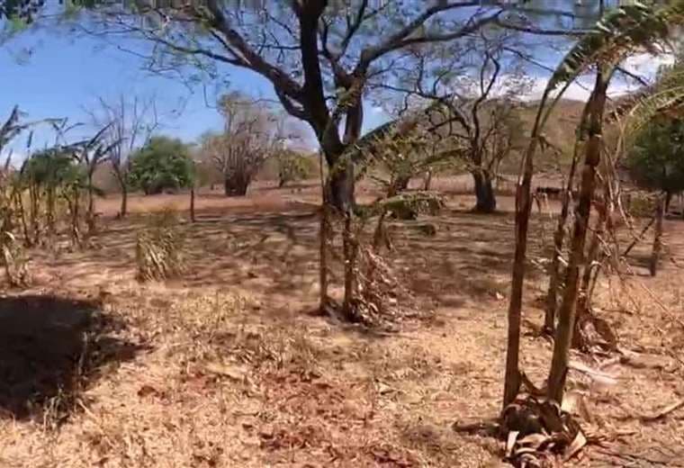 Declaran 23 cantones en alerta naranja y 52 en amarilla por El Niño