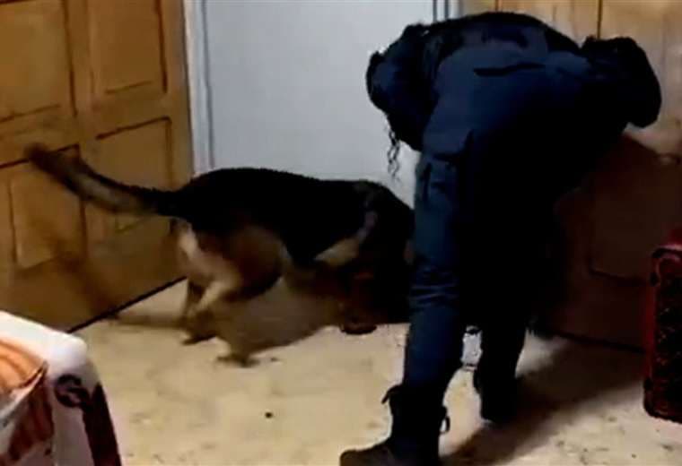 Hallan droga en casa a la que huyeron sospechosos de triple homicidio en Río Cuarto